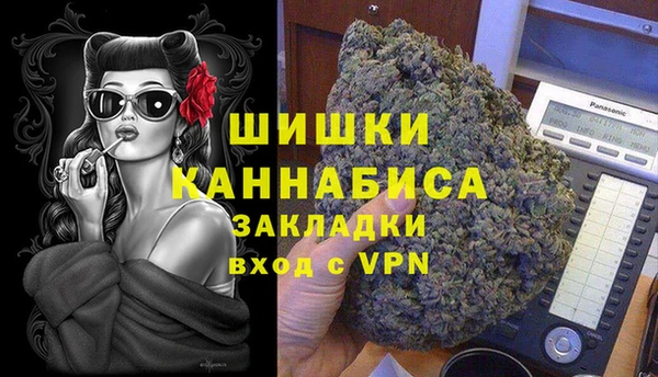гидропоника Алзамай